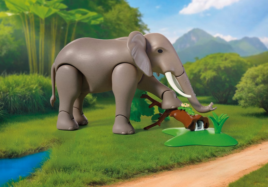 Elefante com tratador