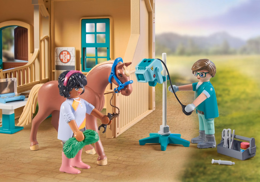 Equoterapia e Clínica Veterinária